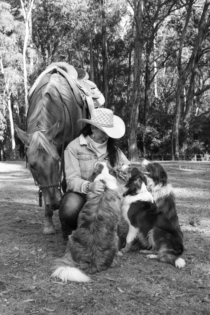 bec black and white horse